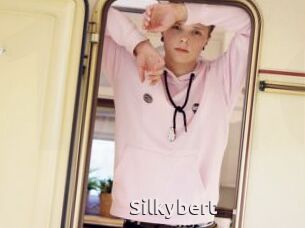 Silkybert