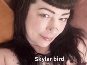 Skylar_bird