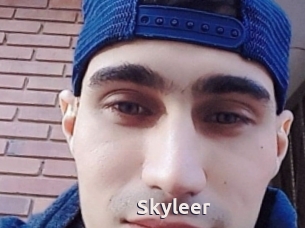 Skyleer