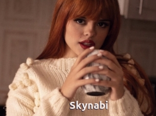 Skynabi