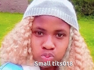 Small_tits018