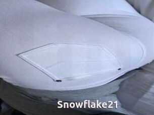 Snowflake21