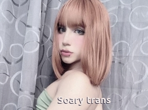 Soary_trans