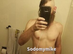 Sodomymike