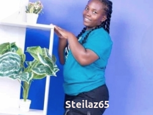 Steilaz65