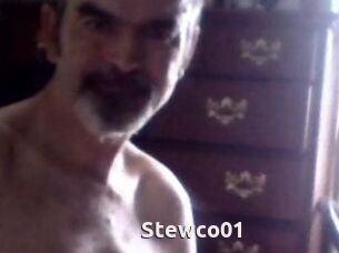 Stewco01