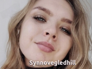 Synnovegledhill