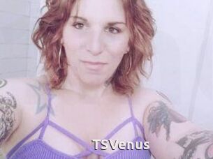 TS_Venus