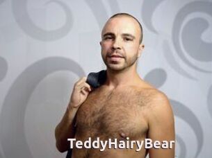 TeddyHairyBear