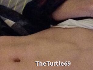 TheTurtle69