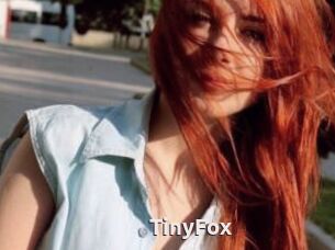 TinyFox