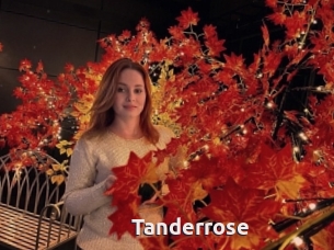 Tanderrose