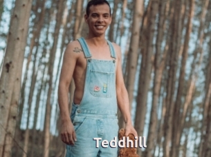 Teddhill