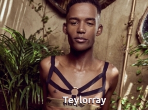Teylorray