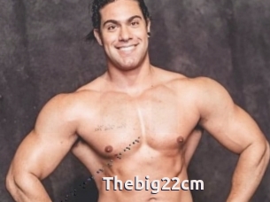 Thebig22cm