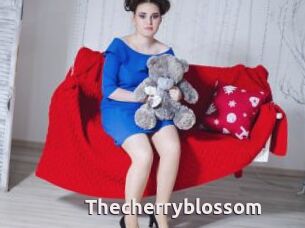 Thecherryblossom