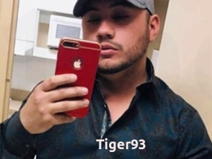 Tiger93