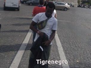 Tigrenegro