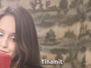 Tinamit