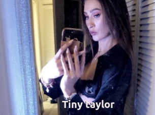 Tiny_taylor