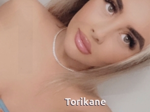 Torikane