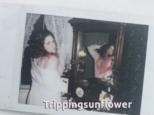 Trippingsunflower