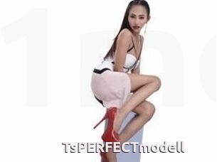 TsPERFECTmodell