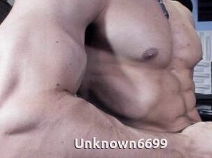 Unknown6699