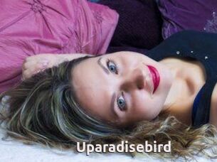 Uparadisebird