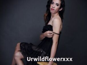 Urwildflowerxxx