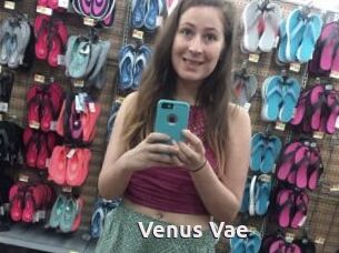 Venus_Vae