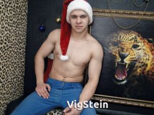 VigStein
