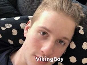 VikingBoy