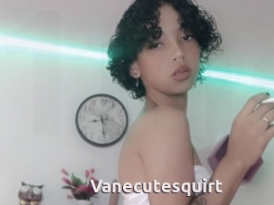 Vanecutesquirt