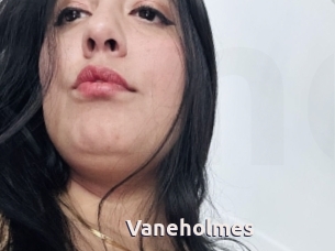 Vaneholmes