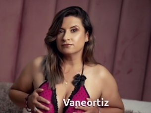 Vaneortiz