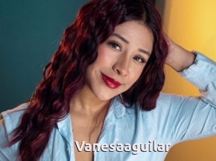 Vanesaaguilar