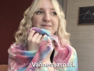 Vannessaspark
