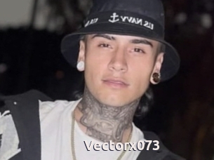 Vectorx073