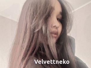 Velvettneko