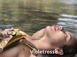 Violetrosse