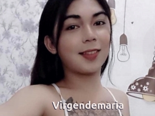 Virgendemaria