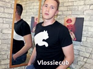 Vlossiecub