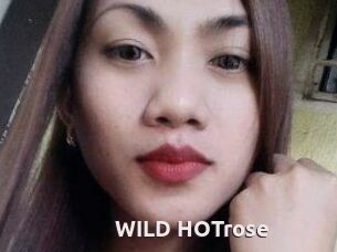 WILD_HOTrose