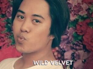 WILD_VELVET