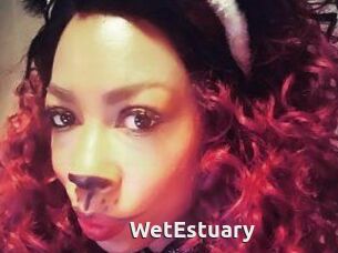 WetEstuary