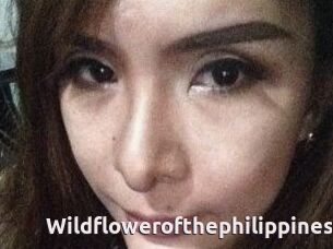 Wildflowerofthephilippines