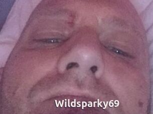 Wildsparky69