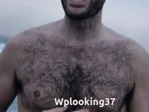 Wplooking37