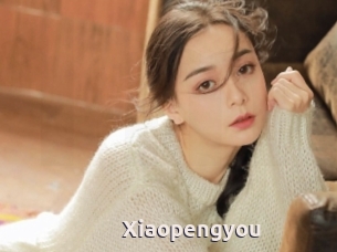 Xiaopengyou